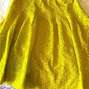 Gorgeous chartreuse lace skirt. It is knee length and from HD in Paris.